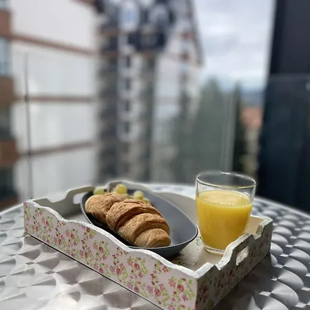 Silver Fox 34 Zlatibor